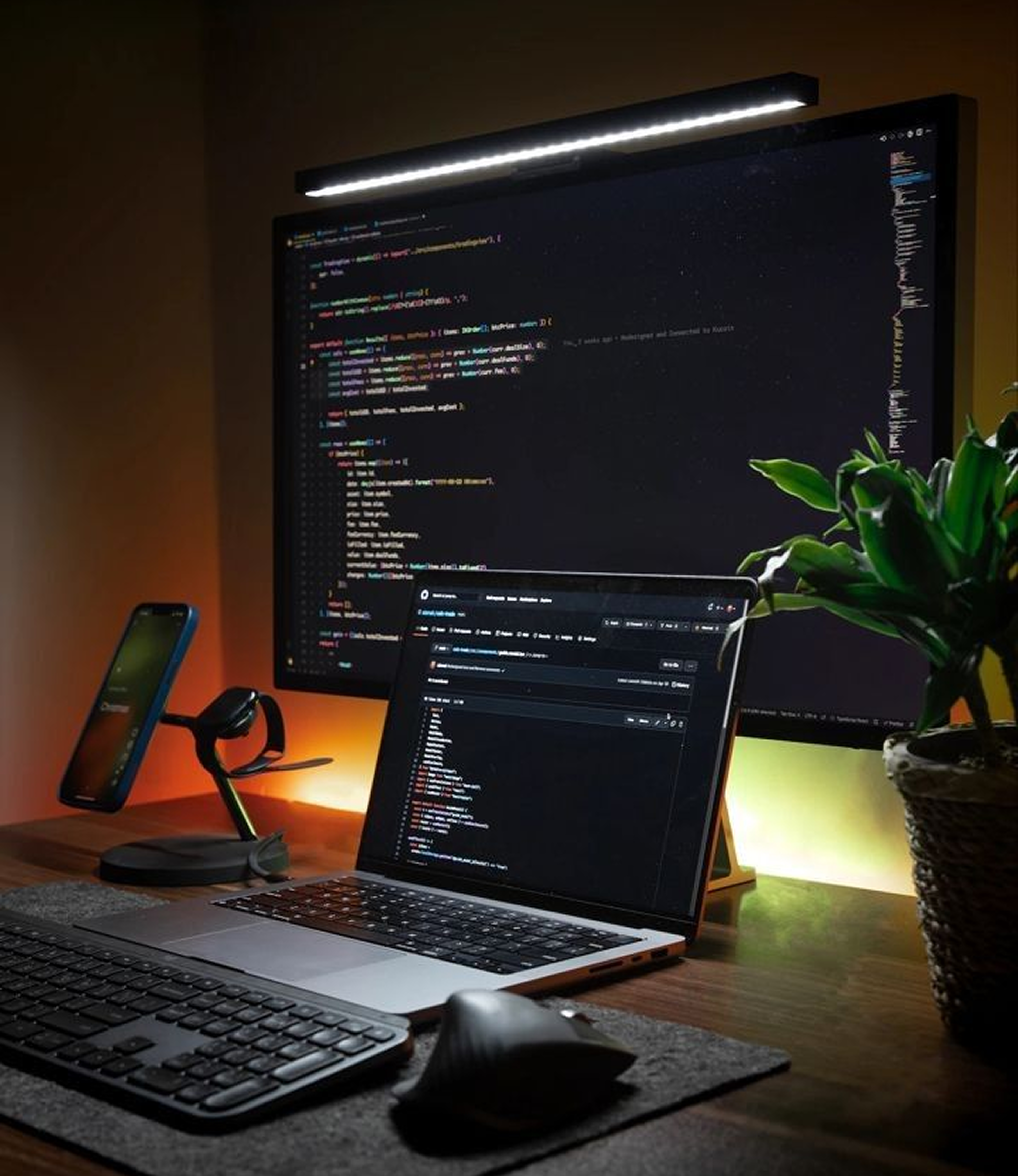 Software Development